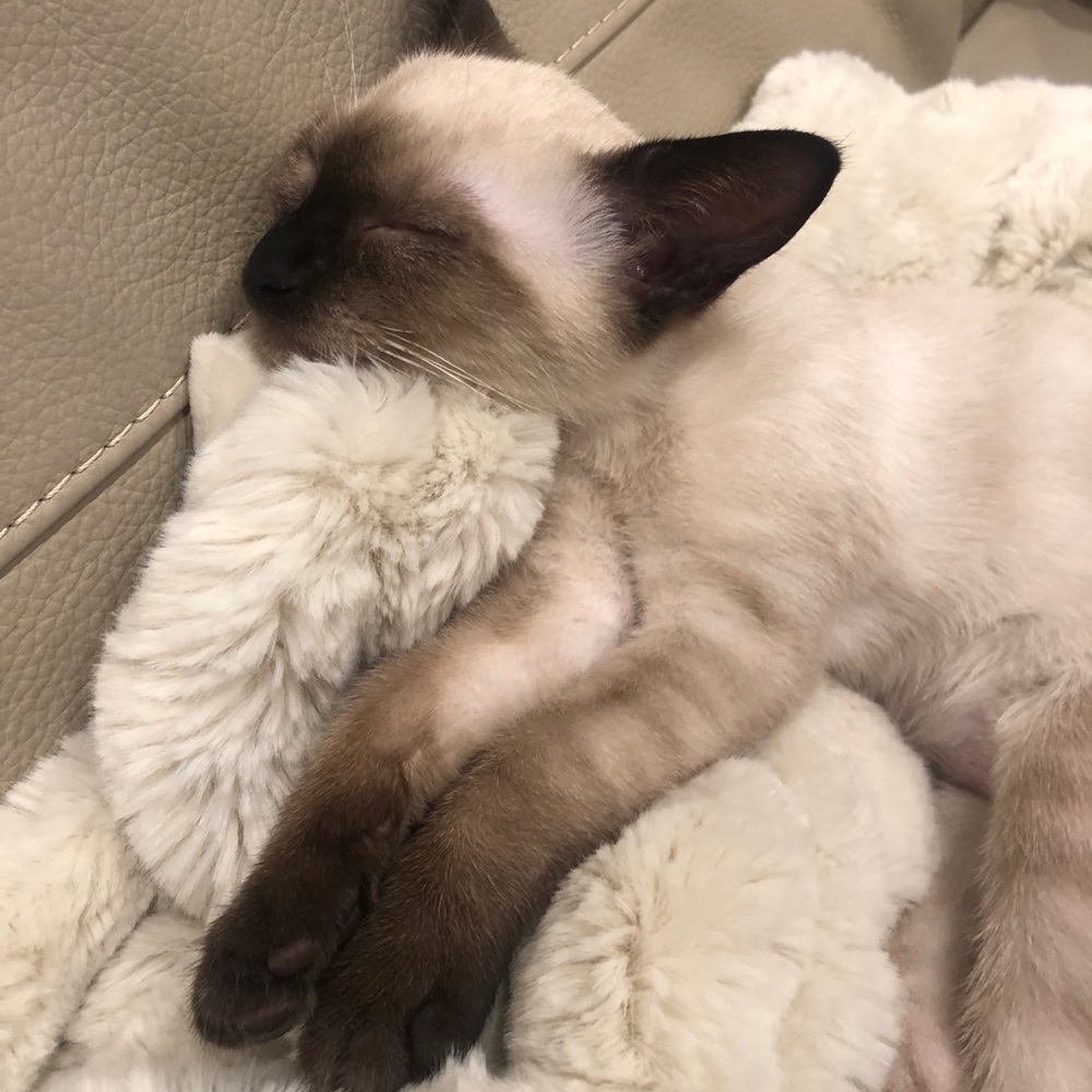 Meet your Posher, Skylar